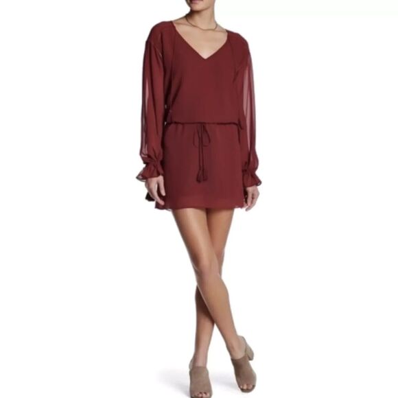 Haute Hippie XS‎ Burgundy V-Neck Mini Dress With Tassel Boho Accents MSRP $695 - Picture 4 of 12